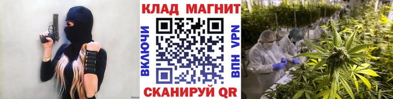 Магазины продажи наркотиков Славгород Гашиш  Alpha PVP  АМФЕТАМИН  Бошки Шишки  МЕФ 