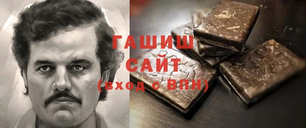 гидра Богданович