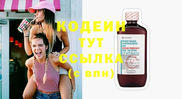 гидра Богданович