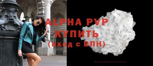 гидра Богданович
