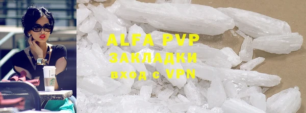 гидра Богданович