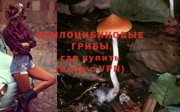 каннабис Богородицк
