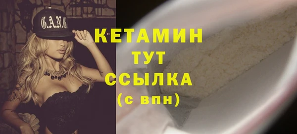 гидра Богданович