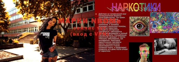гидра Богданович