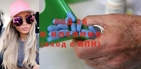 гидра Богданович