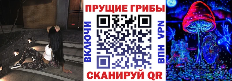 hydra ССЫЛКА  Славгород  Галлюциногенные грибы MAGIC MUSHROOMS 